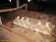 IMG-6028