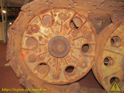 IMG-7081