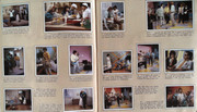 IMG-0002