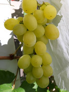 20190809-163548