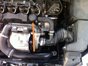 Dim iz poklopca motora kod Focusa MK2 1.6tdci - Ford Club Serbia