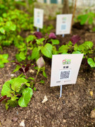 photo-20211123-iherbalgarden-018