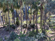 2022 (Jun) - Central (Nth) Qld Solo Trip(web) (107)