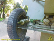 DSCN6810