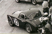  1960 International Championship for Makes - Page 3 60lm23-Austin-Healey3000-J-Sears-P-Riley-2