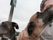 BBG&B2ItAllStartedWhenPics - 1