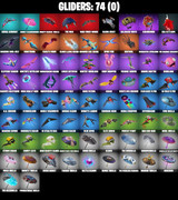 gliders-comp