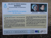 IMG-2622.jpg