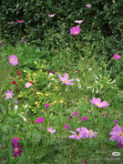 photo 14 2025 12 17 21 11 57