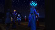 Winter Veil Ball Night 16/12/2024