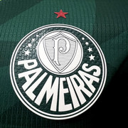 Palmeiras-I-23-24-Jogador-2.jpg