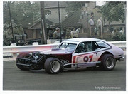 Bottge_97_Pinto_Action_COlor