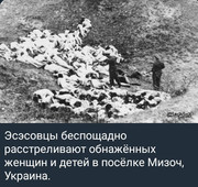 https://i.postimg.cc/gnsqm2Kq/photo-2026-07-17-12-57-50.jpg