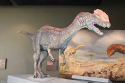 IMG-0748