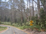 DSCN2278