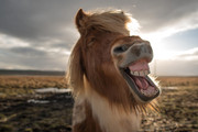 shutterstock-664316992.jpg