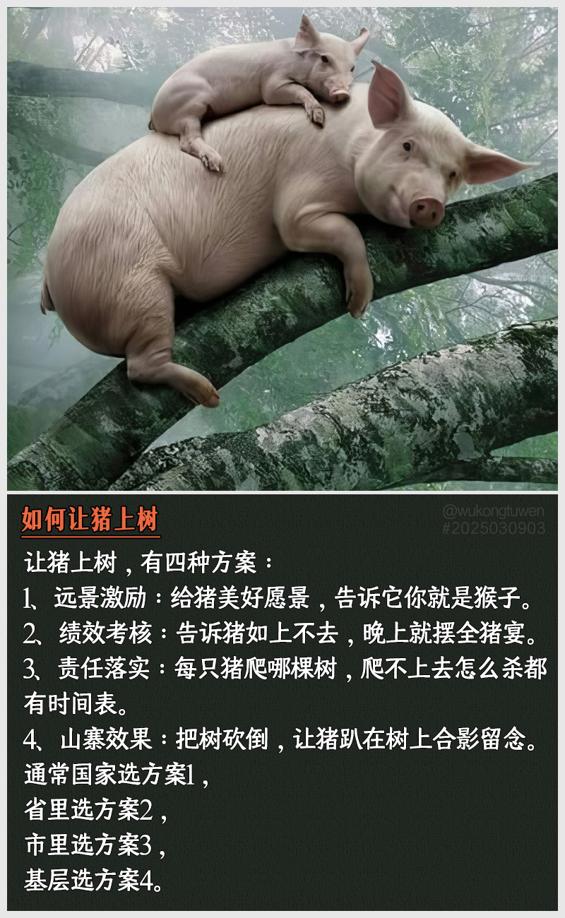 https://i.postimg.cc/gp1Lh18V/2025030903.jpg