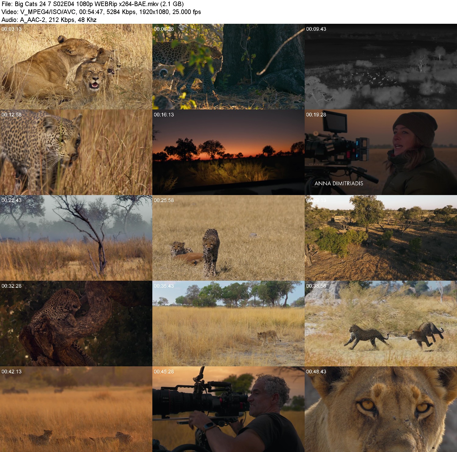 [Image: iob8l830jgue.jpg]