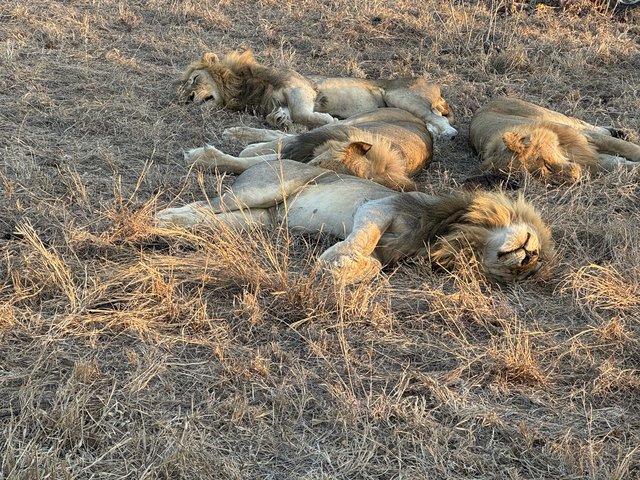 [Linked Image from i.postimg.cc]