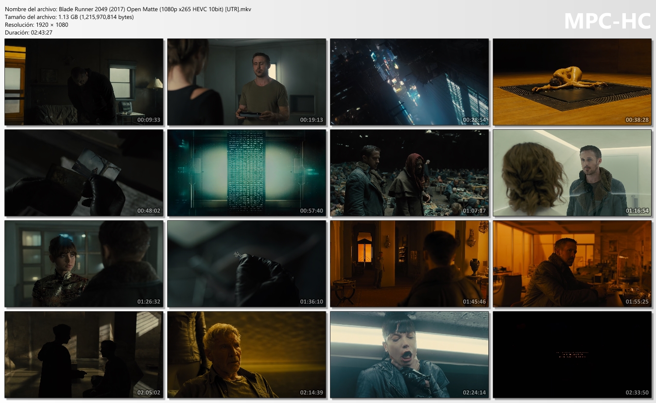 Blade Runner (1982-2017) 1080p [OPEN MATTE]