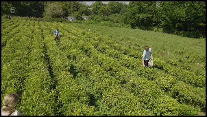 [Image: 44klbw3pxx9f.png]