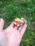 83DA62CB-8671-4A7B-BB4E-96BEE0608C1E