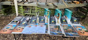 IMG-1263