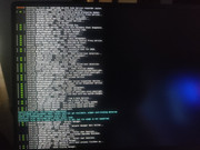 IMG-20240807-085232.jpg