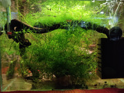 IMG_20210418_25L_back