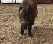 03851E62-92D5-4A82-9ACF-BE4786B2092C