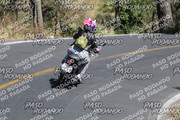 IMG-1364