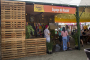 IMG-3660
