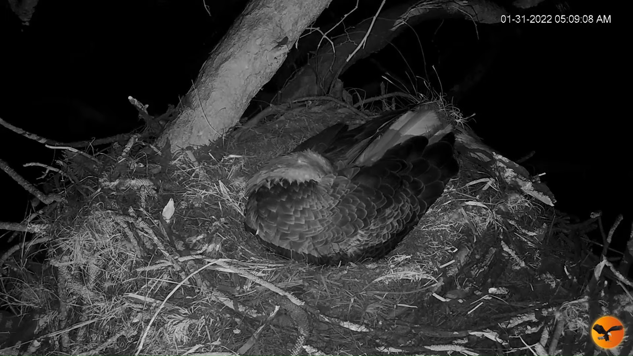 EC 4K Overhead Cam 12-27-24 screenshot