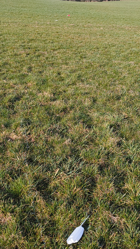 IMG 20260308 095111874