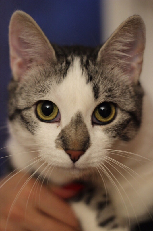 CC189D54-0F1B-459C-9B46-D53378568790