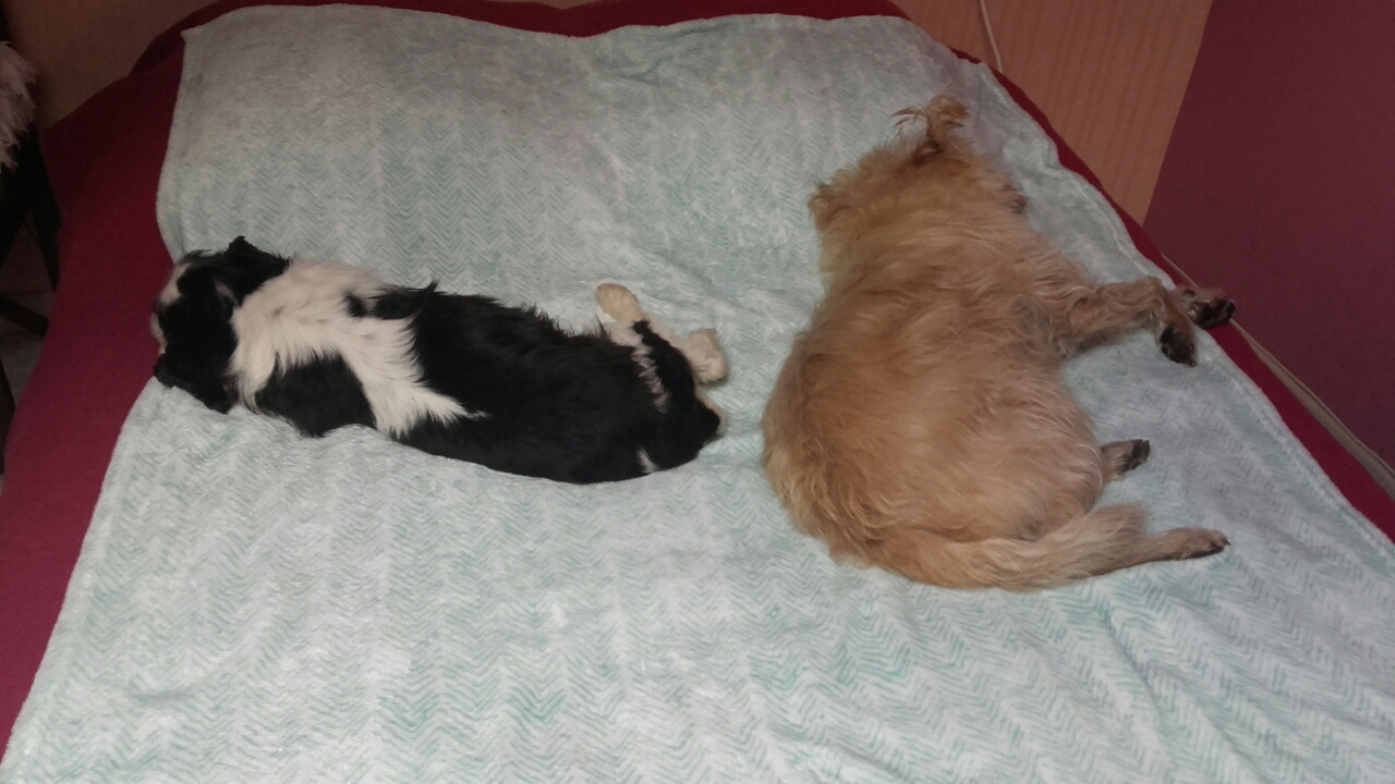 Притираются