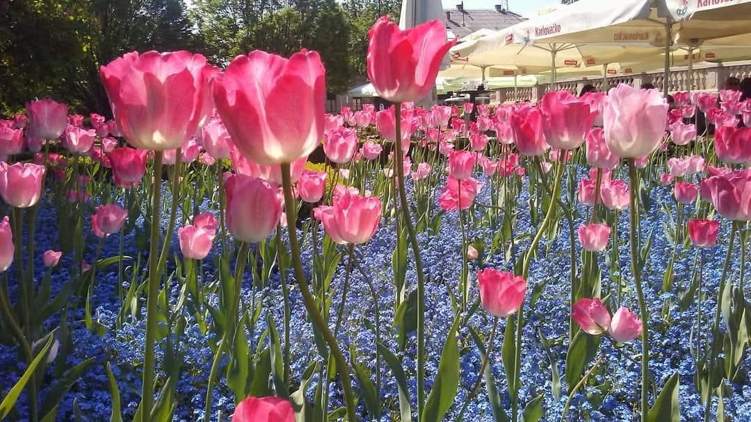 FB-IMG-1745257626902