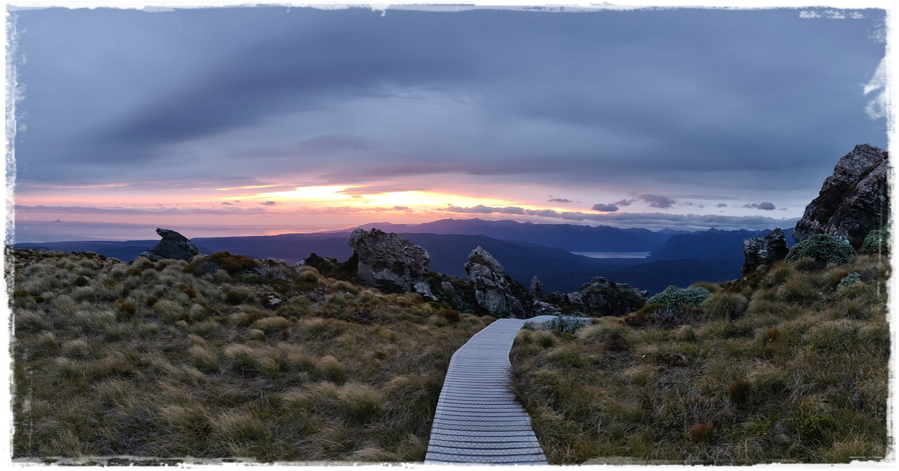 Fiordland NP: Humpridge Track (febrero 2021) - Escapadas y rutas por la Nueva Zelanda menos conocida (29)