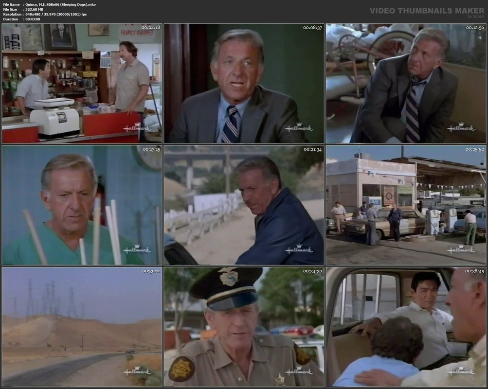 Quincy, M.E. S08e06 (Sleeping Dogs).mkv