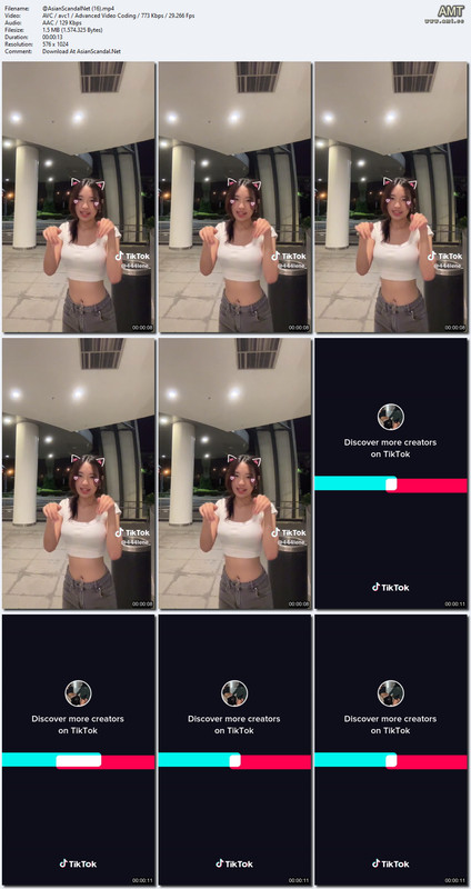 Asian Scandal Net (16) mp4