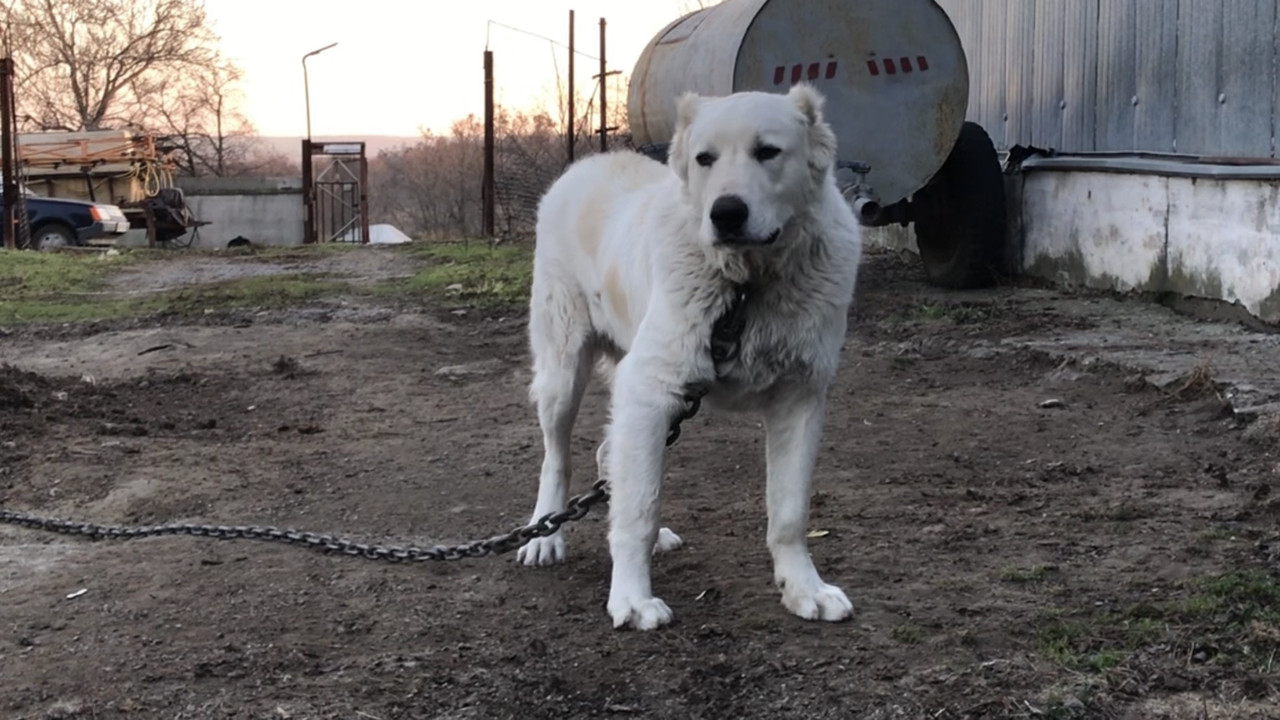 20CFE75A-CB99-4368-A8F8-016DACF9A0C5