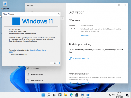 Windows 11 Version Dev Build 21996.1 Consumer Edition + Office 2019 Pro Plus Preactivated