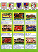 Calciatori-1988-1989-(Panini)-70
