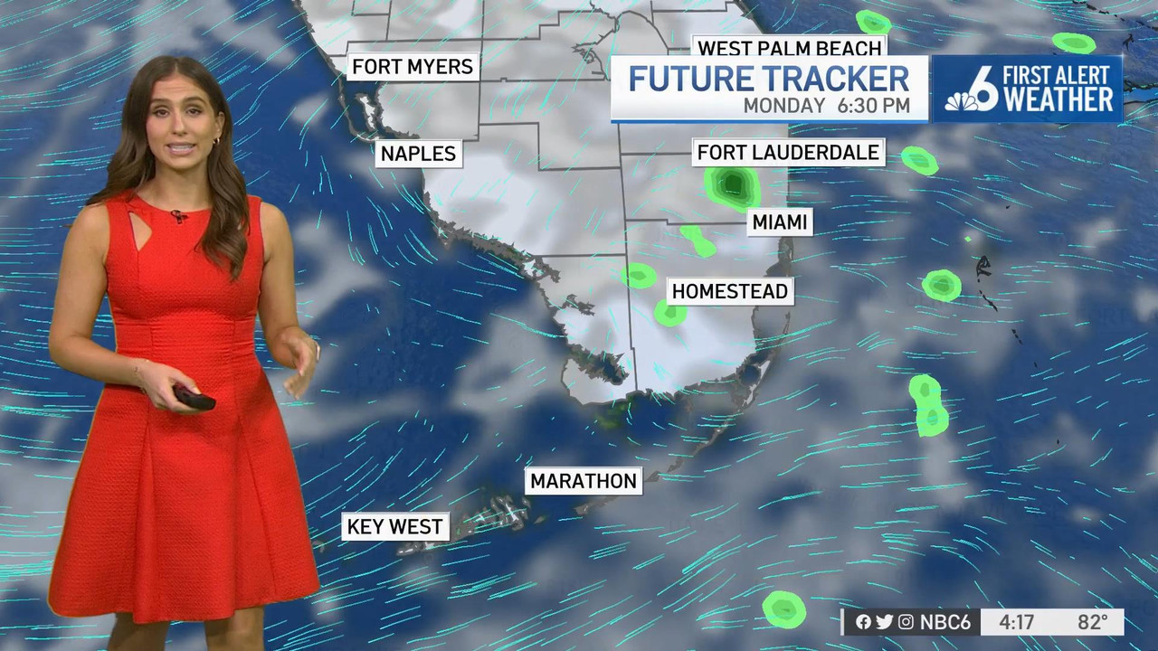 12.20 - 21.00.00 - NBC 6 News at 4 00 p.m..ts_snapshot_08.51_[2021.12.20_23.26.37]