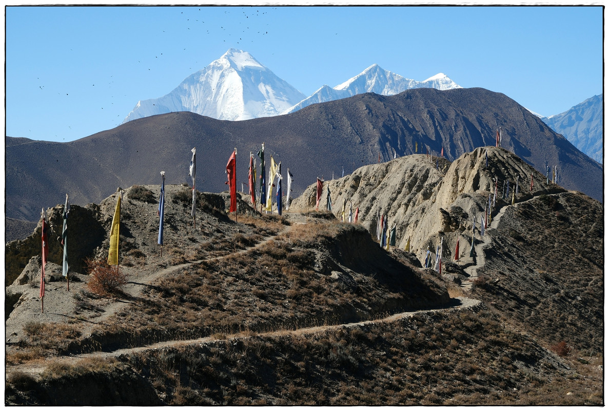 AC día 13: Muktinath (3687 m) a Kagbeni (2864 m) - Trekking en Nepal: Annapurna Circuit y Mardi Himal (8)