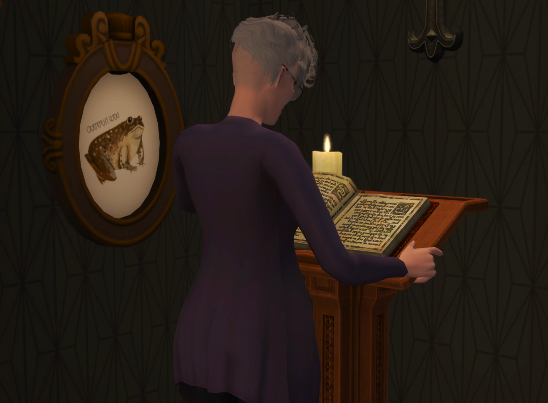 Sims2-EP9-RPC-2024-08-05-14-53-38-75