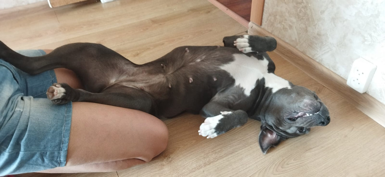 3FC79553-28B0-4AA3-8828-8215D250A586