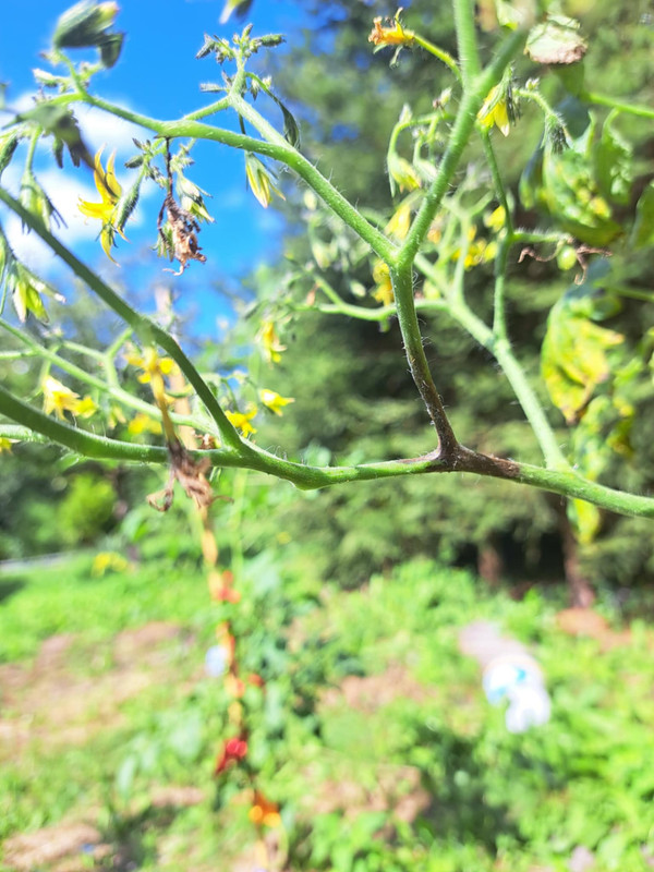 Messenger_creation_4D5FC526-FA4F-476F-8732-2A10BDCE7616