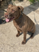 IMG_20230706_152124_877