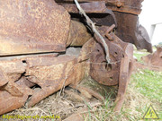 DSCN6892